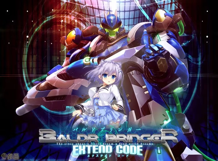 【PC】BALDR BRINGER EXTEND CODE