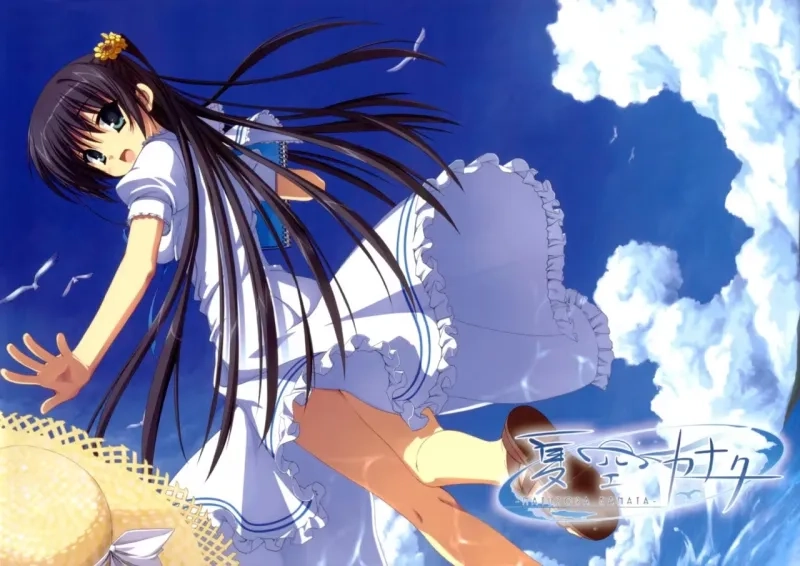 【PC+KRKR+安卓直装】夏空彼方